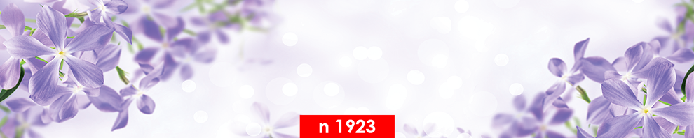 n 1923